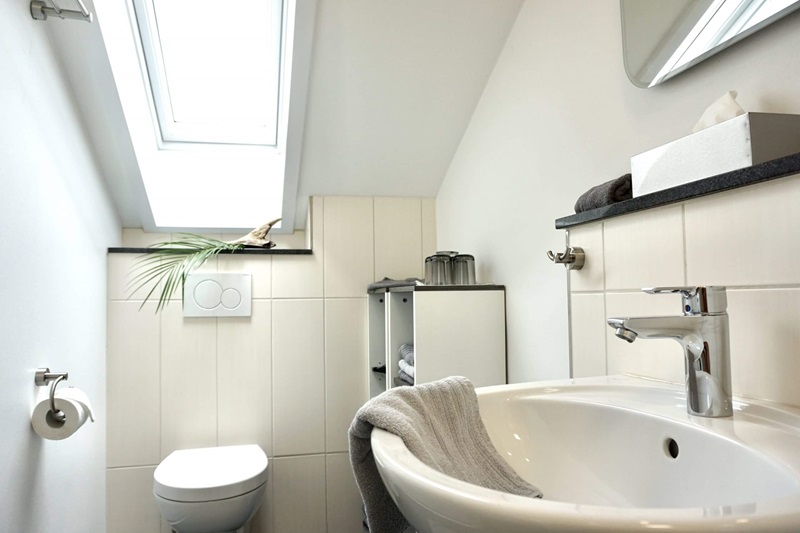 Bad mit WC Waschbecken und Dusche Ferienhaus Reber